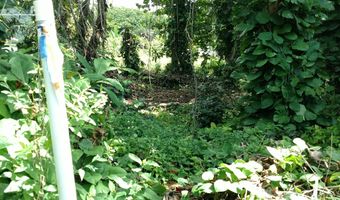 CR KUHIO HWY/ALAMIHI RD, Hanalei, HI 96714
