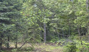5784 River Rd, Clark Fork, ID 83811