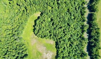 1235 Long Branch-Land, Beattyville, KY 41311