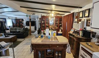 8 Buckhorn Ct, Austin, NV 89310