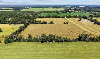 232 344 County Road 344, Bell, FL 32619