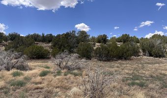 13 ACR 8122 438, Concho, AZ 85924