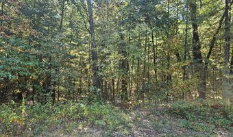 Lot 36 Wildwood Drive, Allegan, MI 49010