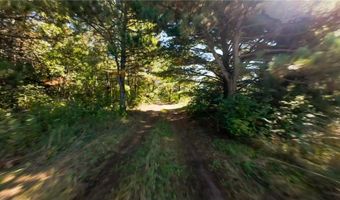 17994 Michael Ave, Viking, MN 55033