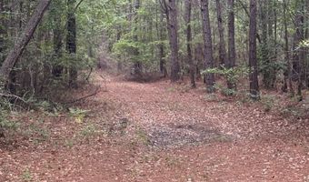 452 Tram Rd, Cades, SC 29518