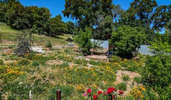 1526 Finnegan Ln, Angels Camp, CA 95222