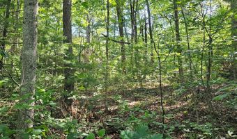 99999 Campground Rd, Asheville, NC 28805