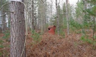 40 AC Werth Rd, Alpena, MI 49707