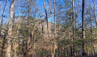 LEGENDS Ln, Arley, AL 35541