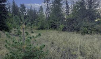18 Majestic Mountain Rd, Clark Fork, ID 83811