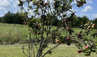 6609 County Road O-535, Ava, MO 65608