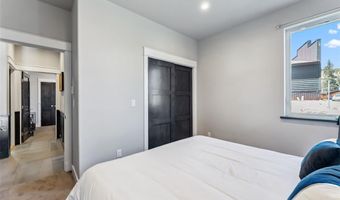 255 FLANNIGAN Cir, Alma, CO 80420