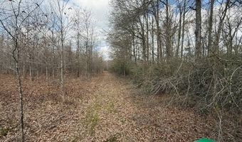 W Factory St, Amite, LA 70422