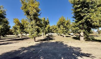 2452 W O'Hara Rd, Anthony, NM 88021