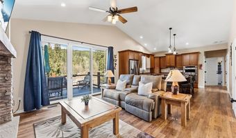 1227 Edgewood Rd, Alma, CO 80420