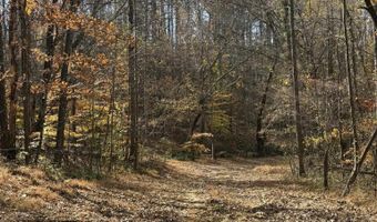 Parcel A DULWICH DR, Amherst, VA 24521