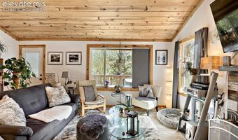 226 Hall Rd, Bailey, CO 80421