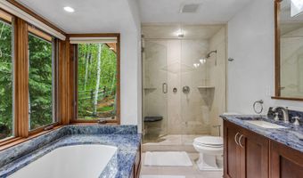 203 Eastwood Dr, Aspen, CO 81611