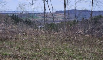 295 Shellstone Rd, Amsterdam, NY 12010