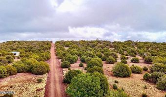 Tbd Co Rd 8256 Lots A & B 10 Acres, Concho, AZ 85924