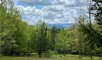 Crescent Hill Road, Andes, NY 13731