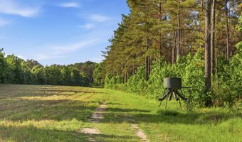 425 Rose Hill Rd, Bentonia, MS 39040
