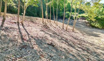 Hwy 52 E, Beattyville, KY 41311