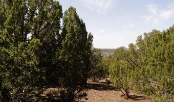 Lot 11 Uphill Trail, Vernon, AZ 85940