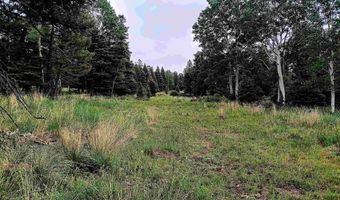 Lot 1220 Rainbow Overlook, Angel Fire, NM 87710