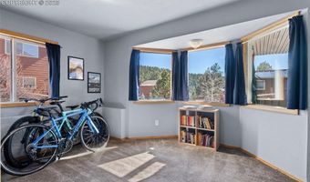 73 Sunlight Ln, Bailey, CO 80421