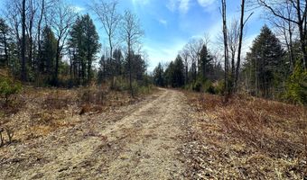 Lot # 02 North Road, Parsonsfield, ME 04047