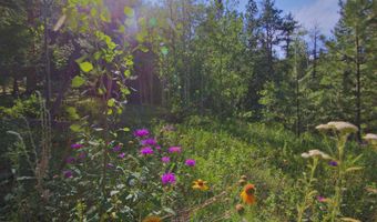 TBD County Road 59, Allenspark, CO 80510