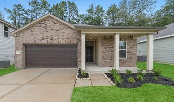 10644 Harlequinn Plan: Prism, Adkins, TX 78101