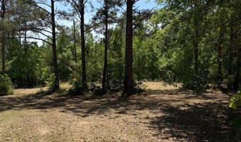 County Road 50, Abbeville, AL 36310