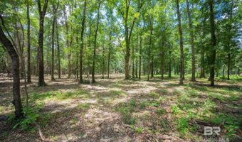 0 Hurricane Rd, Bay Minette, AL 36507