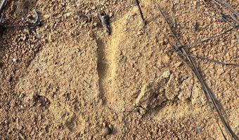 Hwy 9, Bruce, MS 38915