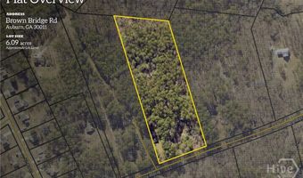 342 Brown Bridge Rd, Auburn, GA 30011