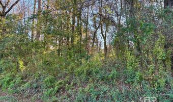 4 Brady Rd, Bay Minette, AL 36507