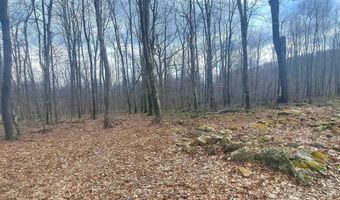 Glade Run Road, Albright, WV 26519