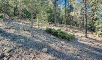 Snowmass Rd lot 9, Angel Fire, NM 87710