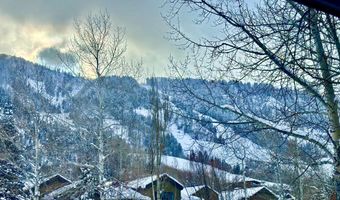 950 E Durant Avenue 4, Aspen, CO 81611
