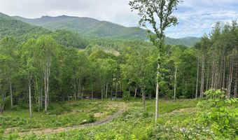 Pumpkin Patch Road, Bakersville, NC 28705