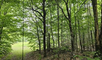 Lot # 6 Mill Priviledge Road Road, Carroll Plt, ME 04487