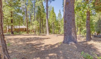 1694 Shoshone Dr, Camp Connell, CA 95223