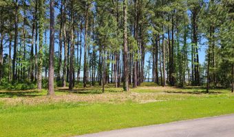 3 3a Gray Goose Dr, Aurora, NC 27806