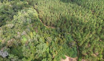1289 Bruner Pond Rd, Ashford, AL 36312