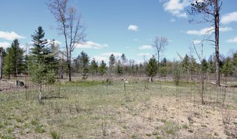 5826 S Morrison Rd, Alger, MI 48610