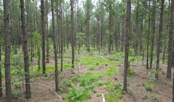 19 43 Big Rocks Rd, Antlers, OK 74523