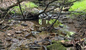 Hall Hollow Road, Austinville, VA 24312