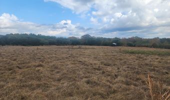 13962 Alabama Highway 95 N, Abbeville, AL 36310